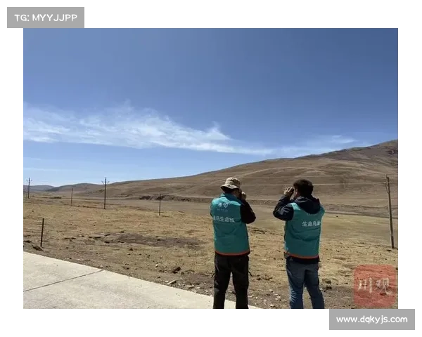 高原地区社会服务创新模式五大关键策略探索与实践 高原地区社会服务创新模式五大关键策略探索与实践