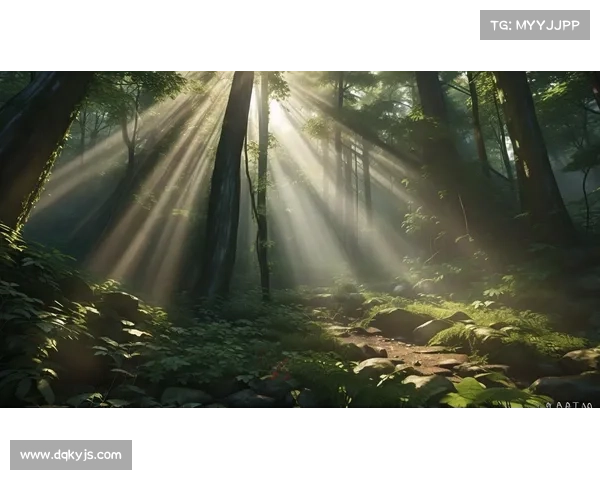 探索神秘森林与灵兽世界的奥秘之旅揭秘自然与奇幻交织的奇妙境地 探索神秘森林与灵兽世界的奥秘之旅揭秘自然与奇幻交织的奇妙境地