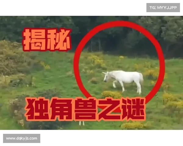 神兽森林的遗秘探寻:古老传说中的奇迹与神秘力量 神兽森林的遗秘探寻:古老传说中的奇迹与神秘力量