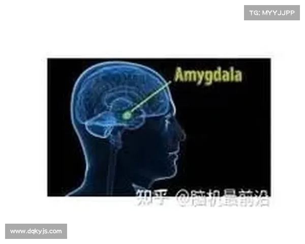 全面解析澳洲杯开赛时间确定机制与多重关键影响因素深度探秘全景 全面解析澳洲杯开赛时间确定机制与多重关键影响因素深度探秘全景